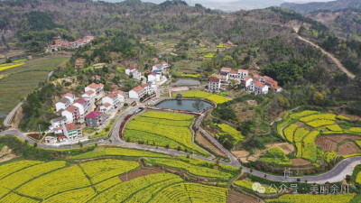 国际纵横谈丨跨越山海的中国贡献——“两山”理念启迪全球生态文明建设