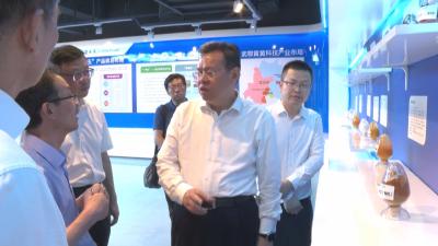 副省长程用文来武穴调研时强调 为全省工业经济发展作出更大贡献