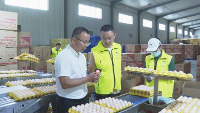聚力建支点 返乡创业时｜ 安宁：科技匠心铸就“浠有好蛋”