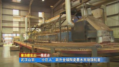 聚力建支点 一线直击｜ 武汉山羽：黄冈化工园“小巨人”跃升全球陶瓷墨水市场领航者