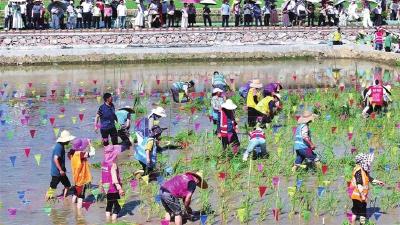 产品上新 场景创新 内容更新 多元“引力场”燃动宜都夏日经济