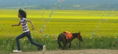 不一样的礼物，一样的尊重 