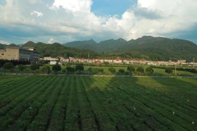 有文化 懂技术 善经营 会管理 黄州区50余名“农人”重回课堂充电