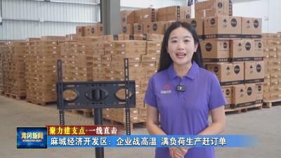 聚力建支点 一线直击 丨 麻城经济开发区：企业战高温 满负荷生产赶订单