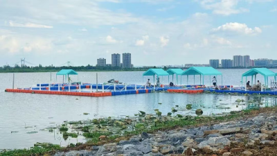 水域条件获国际裁判盛赞 中国杯赛艇城市冲刺赛（黄冈站）筹备工作高效推进