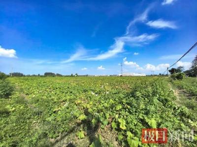 第二轮土地承包到期后再延长30年整省试点范围扩大到7个省份