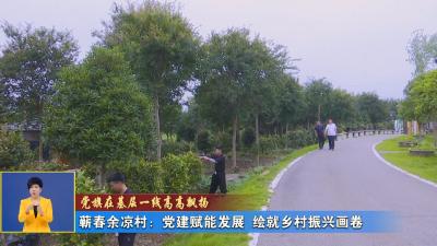 党旗在基层一线高高飘扬丨 蕲春余凉村：党建赋能发展 绘就乡村振兴画卷