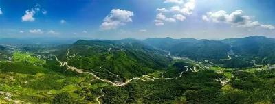 央地合作，黄冈老区遍地金