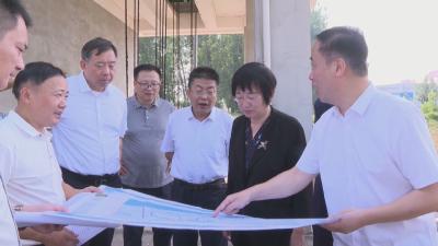 省政协副主席张柏青来我市调研