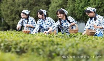 我市在京举办第三届链博会茶产业链产销对接会