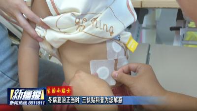 生活小贴士｜冬病夏治正当时 三伏贴科普为您解惑