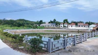 马曹庙镇百福寺村：党建引领环境整治 绘就美丽乡村新画卷