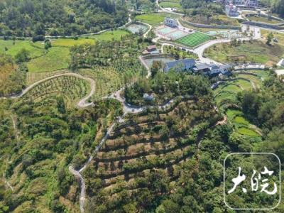 我市举行“革命老区振兴发展” 黄冈实践新闻发布会