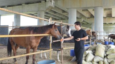 年接待游客10万+！鄂东“马背研学”第一人这样打造农旅爆款