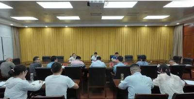 博士齐晓宇下沉红安一年——  让优质医疗资源在老区扎根结果