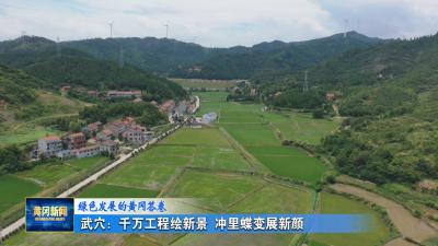 绿色发展的黄冈答卷｜ 武穴：千万工程绘新景 冲里蝶变展新颜