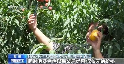 打通出山“最初一公里” 农村电商成农民增收致富“金钥匙”