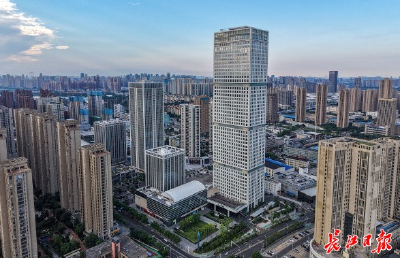 两“链主”企业织就千亿经济带，龙阳湖畔：万余民企环湖生长