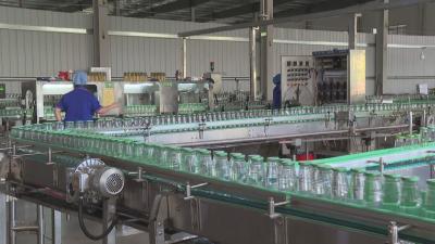 聚力建支点 一线直击丨黄冈：中药材饮品热销 企业全力赶订单