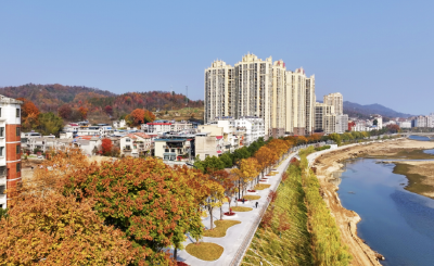 罗田全面开展城区拆违治乱行动——  向违建亮剑 绘城市新景