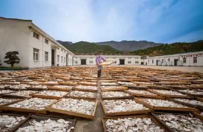 药香变药财 产业成链促振兴