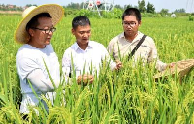 锲而不舍落实中央八项规定精神（56）吹响号角 “青”力出击