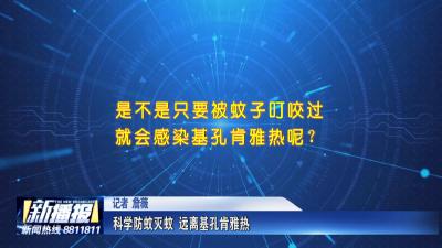生活小贴士｜ 科学防蚊灭蚊 远离基孔肯雅热