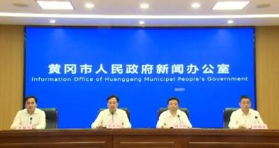 我市召开知识产权工作和经营主体高质量发展机制创新新闻发布会