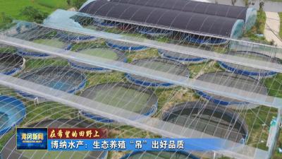 在希望的田野上丨 博纳水产：生态养殖“吊”出好品质