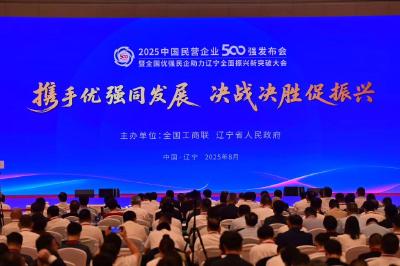 大显身手！“2025中国民营企业500强”发布 