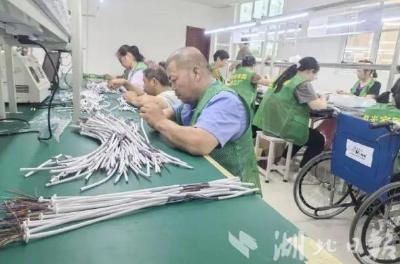 989名残疾人圆了“工作梦” ——我市多形式多渠道帮扶为残疾人铺就就业路