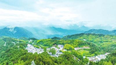 全国人大代表李军杰：以特色产业为基 打造革命老区高质量发展先行区