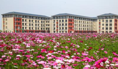 湖北叫响新时代“惟楚有才” 以人才的风云际会助推支点建设的风生水起