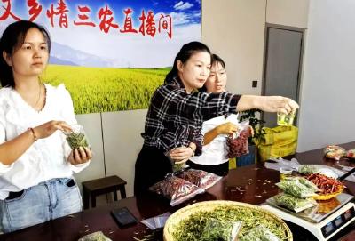 女主播妇联主席培训班在武汉举办