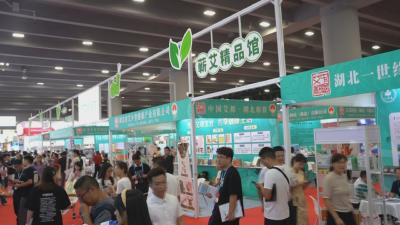聚力建支点 一线直击丨蕲艾产业多点发力 亮相展会彰显品牌实力