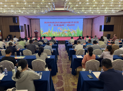 黄冈市2025年优质稻品种“看禾选种”培训班在浠水成功举办