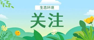 黄冈市生态环境局蕲春县分局加大加油站监管检查力度