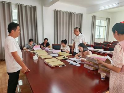 团风县淋山河镇织密村级“三资”管理防护网
