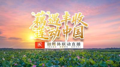 《“藕”遇丰收 “莲”动中国》大型融媒体直播 