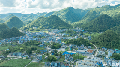 “两山”转化看鹤峰：82万亩“生态珍宝”香飘海外 村民增收笑满颜