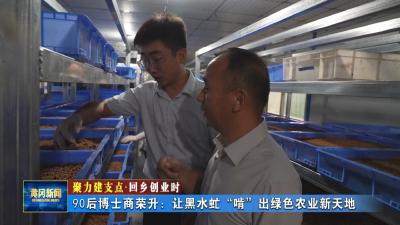 聚力建支点 回乡创业时丨 90后博士商荣升：让黑水虻“啃”出绿色农业新天地