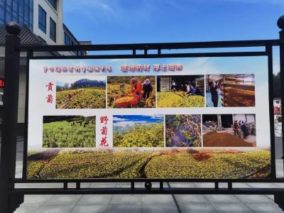 金融活水润药田——罗田农行为药材产业高质量发展赋能纪实 