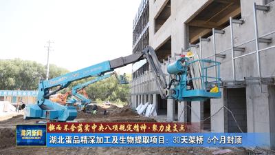 锲而不舍落实中央八项规定精神 聚力建支点丨湖北蛋品精深加工及生物提取项目：30天架桥 6个月封顶