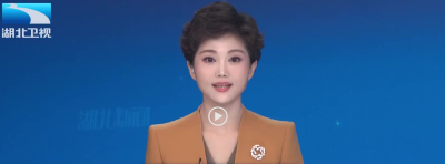 决胜收官“十四五” 谋篇布局“十五五”系列新闻发布会 | 湖北：粮仓丰盈 产业强链 打造农业科技“高峰高原”