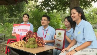 从枝头到屏幕 罗田板栗村播活动助农增收