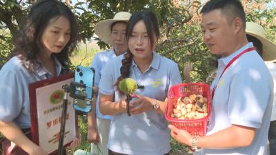 经济微观察 发展惠民生丨 黄冈：拓展“电商+”模式 全力推动消费提振