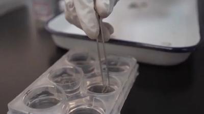 一台设备的效率堪比7名检测员  AI大脑实时为长江“体检”