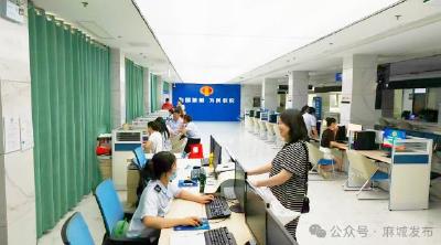 用服务热度提升营商环境温度 ——麻城税务推出夏季办税四剂“凉策”  