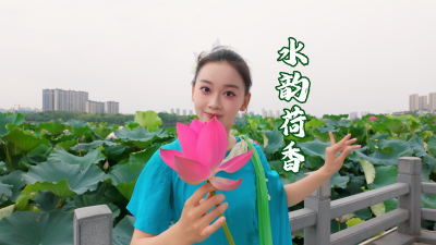 “春有百花，夏有荷”，为“荷”而来，因“荷”停留