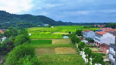 东坡时评|以履职清单夯实基层治理根基